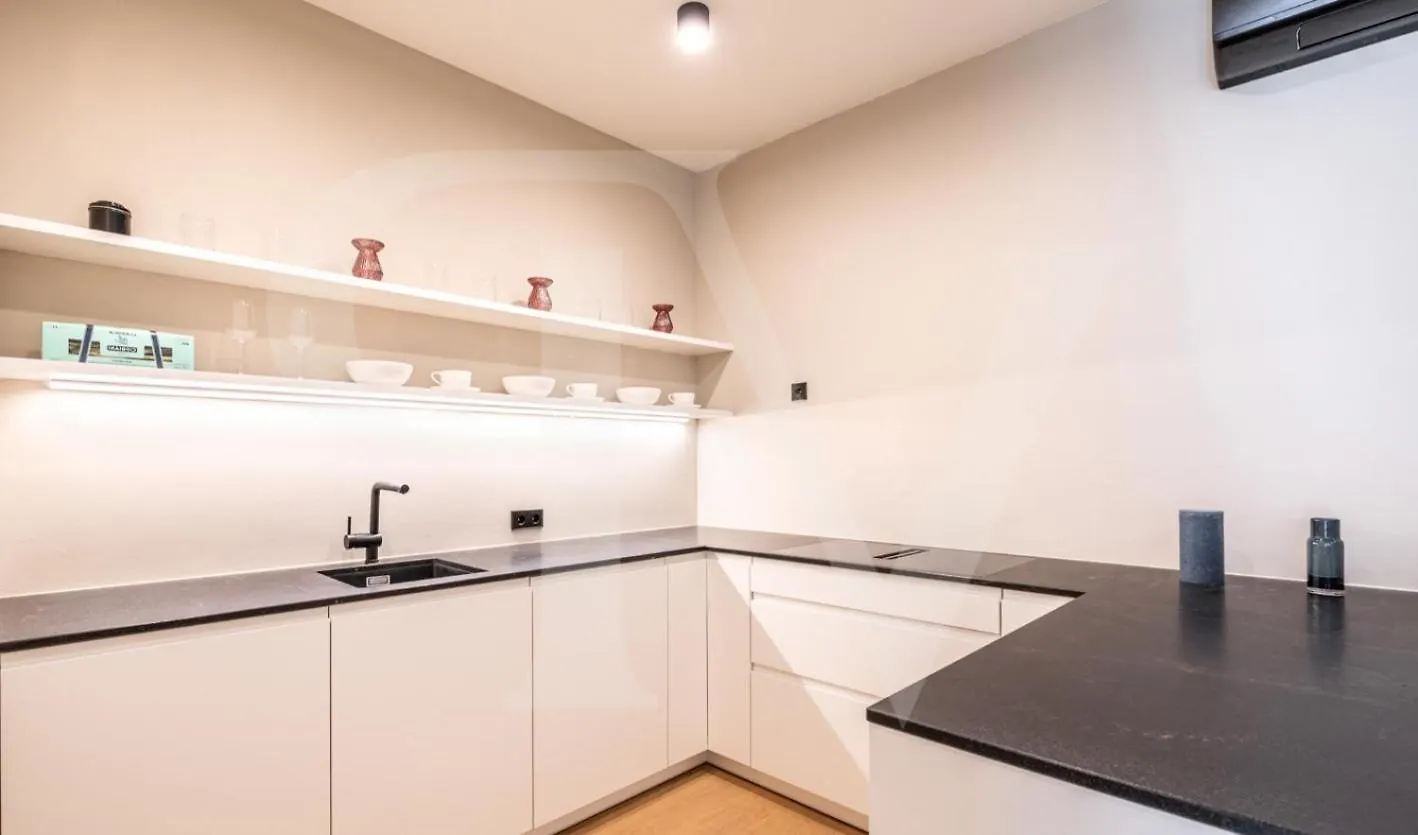 Luxurious Apartment In Heart Of Citycheckhostprofile Vienna