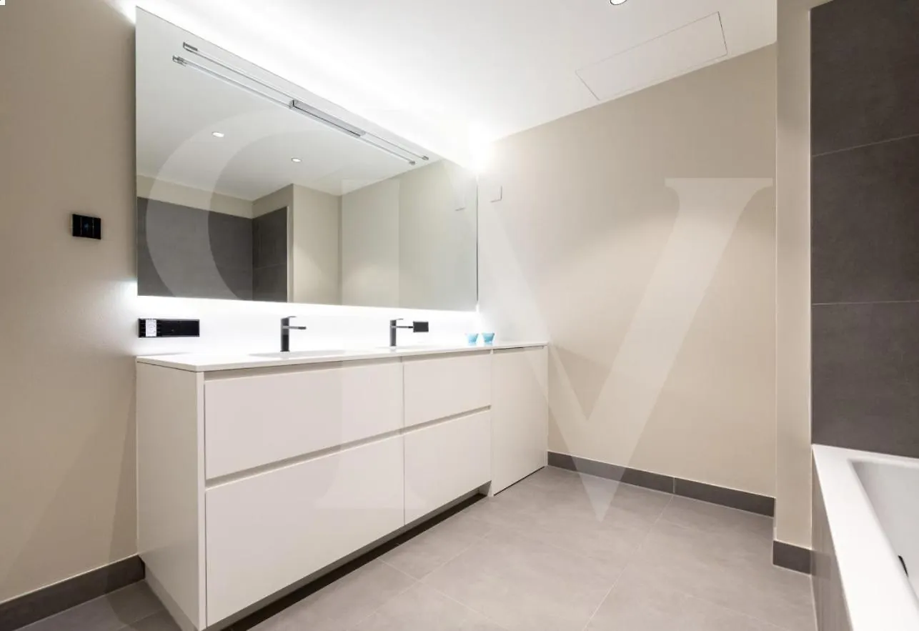 Luxurious Apartment In Heart Of Citycheckhostprofile Vienna